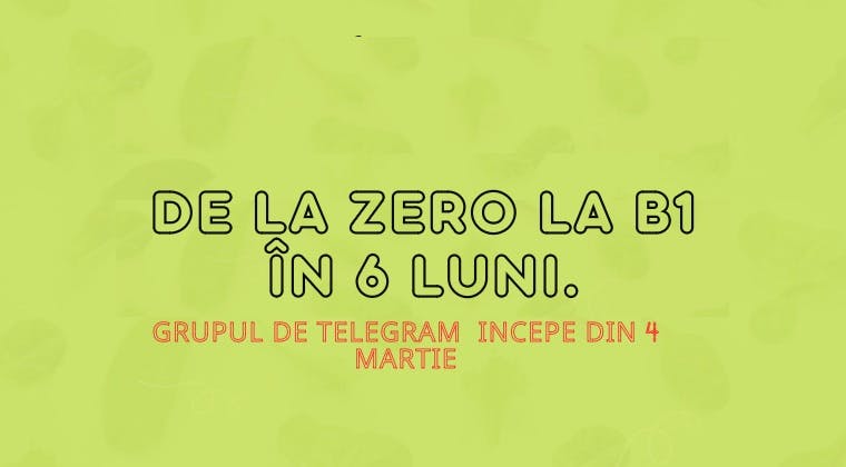 De la zero la B1 în 6 luni
